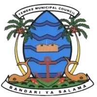 Temeke Logo